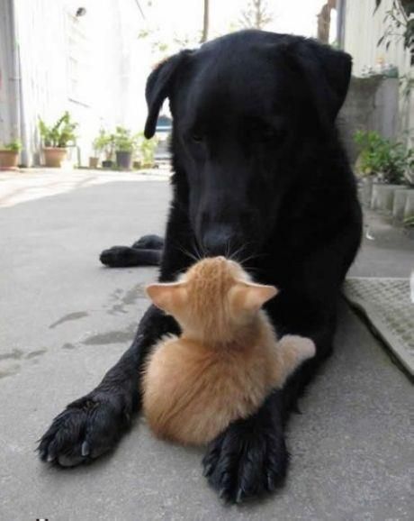 “Oh okay, just one more kiss.” How adorable!