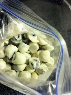 Blueberries covered in greek yogurt and frozen. Great healthy snack to have arou