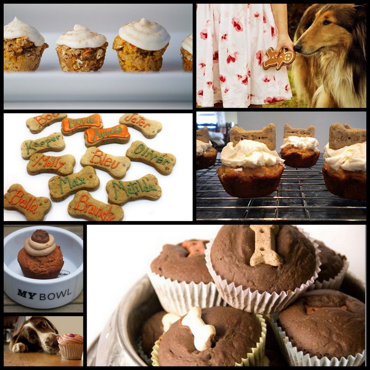 Cupcakes and Pupcakes – Delicious treat recipes to bake for your dog. Getting re