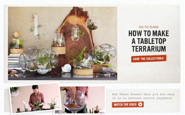 How To Make a Tabletop Terrarium