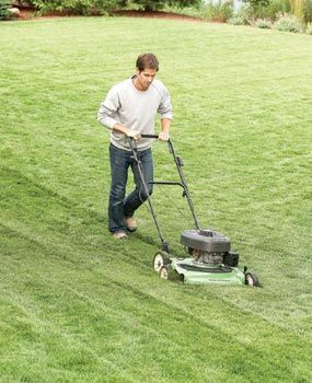 How to get your brown/scraggly lawn into golf course style lawn in 1 season…Ye