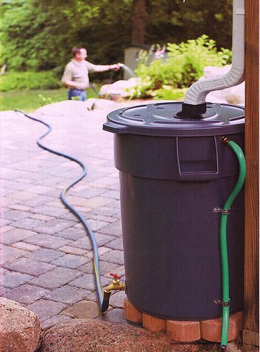 Make your own rain barrel. So awesome!