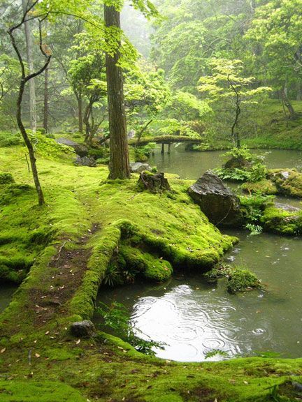 Moss garden, Kyoto