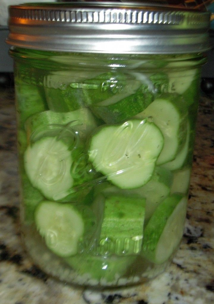 Refrigerator Dill Pickles (Like Claussen’s) Super Crunchy!