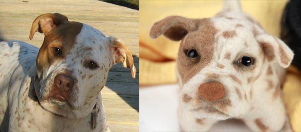 Send in a picture of your dog – they send you a stuffed animal!! – Oh my word!!