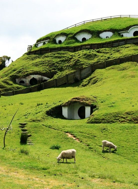 Sheep House in New Zealand