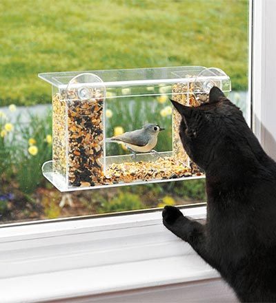 This is a great bird feeder because it sticks to the window (so the children and