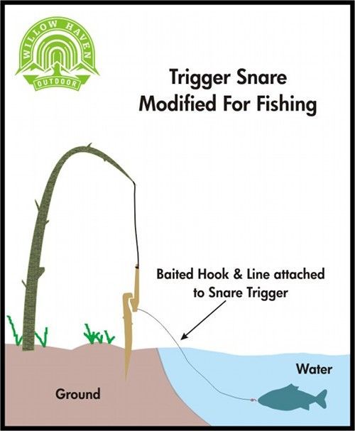 Trigger Snare Modified For Fishing