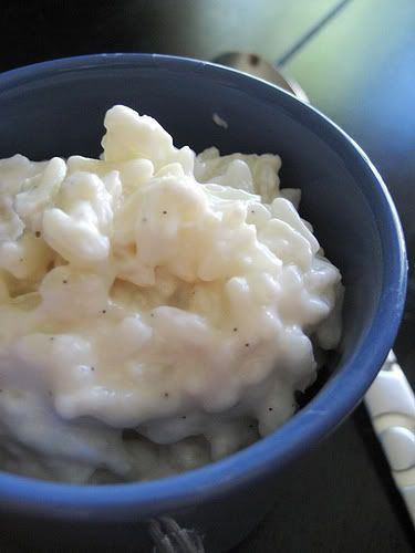 Vanilla Coconut Rice Pudding