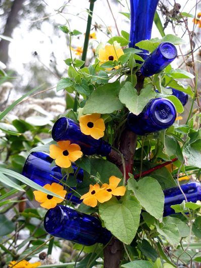 Vine and bottle tree