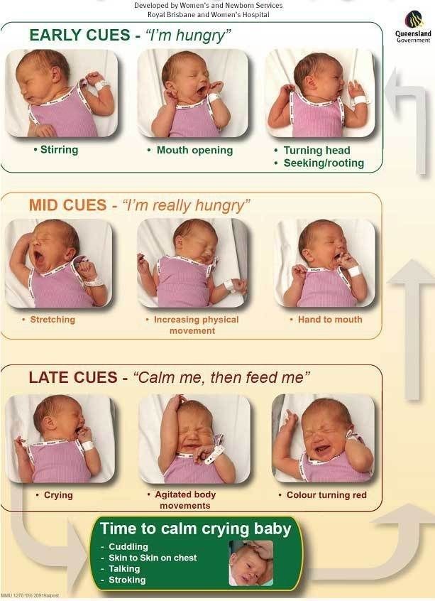 7. Know when your baby is hungry before they lose their you-know-what: -   Helpful Charts For New Parents