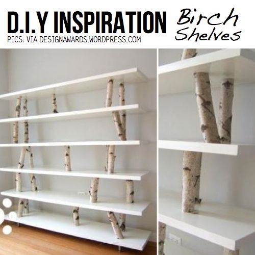 birch shelves with pink shelves