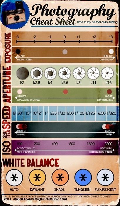 cheat sheet photography