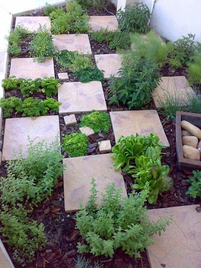 easy access & fragrant herb garden