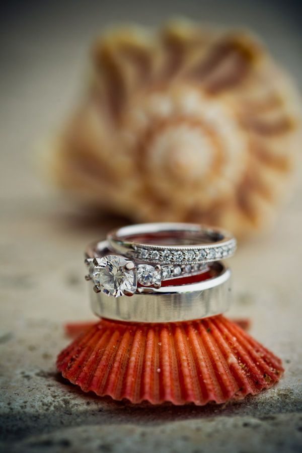 engagement ring & wedding band on shell photo