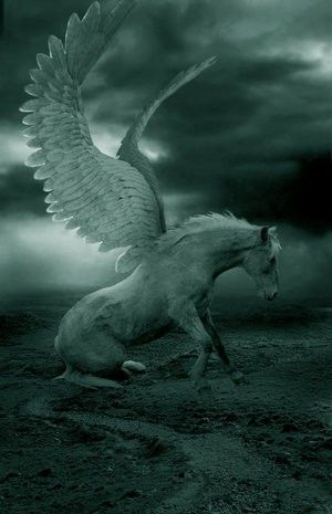 ✯ Pegasus :: Artists Unknown ✯