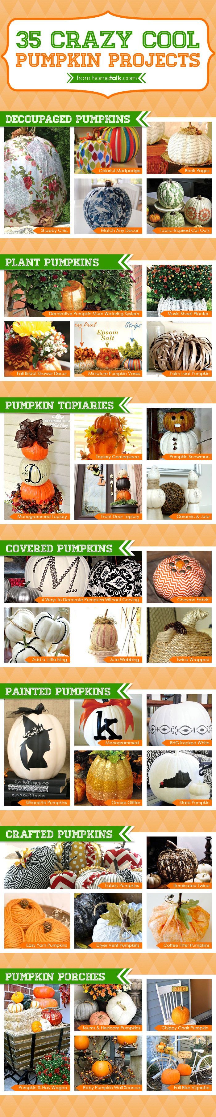 35+ crazy cool pumpkin ideas to try this fall. This is such an amazing list!
