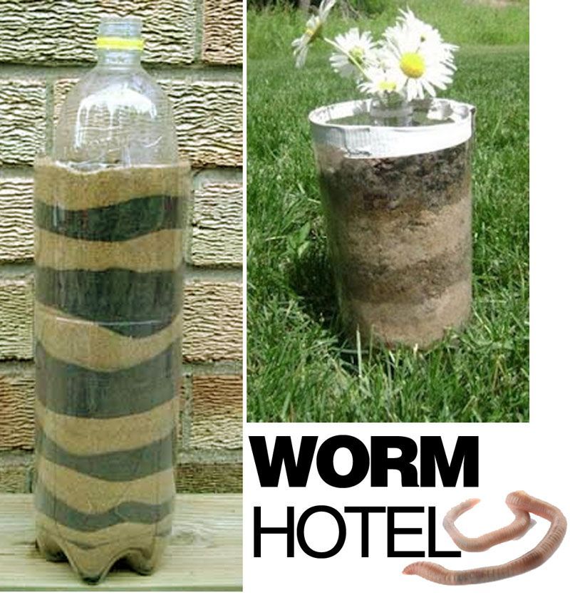 A worm hotel! Great for teaching about plants (how worms help)! Watch as worms c