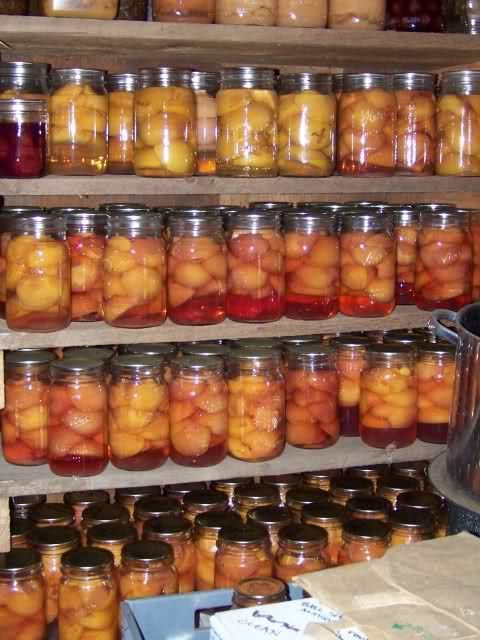 Amazing site- called Living off the Grid- Tons of canning info. @joyolenslager