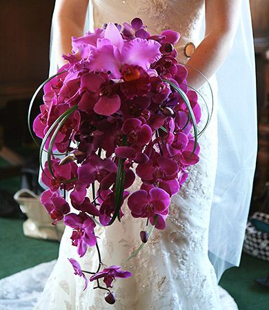 Cascading magenta orchid Wedding Bridal Bouquet