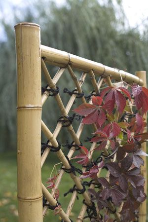DIY WEAVE A BAMBOO FENCE