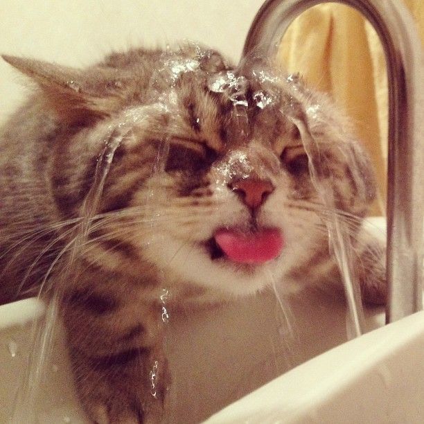 Drinking water the hard way…
