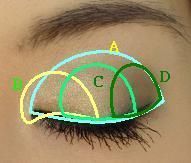 FOR EVERYONE WHO DOESN'T KNOW!!!!How to do a smokey eye. A is 3rd darkest, B