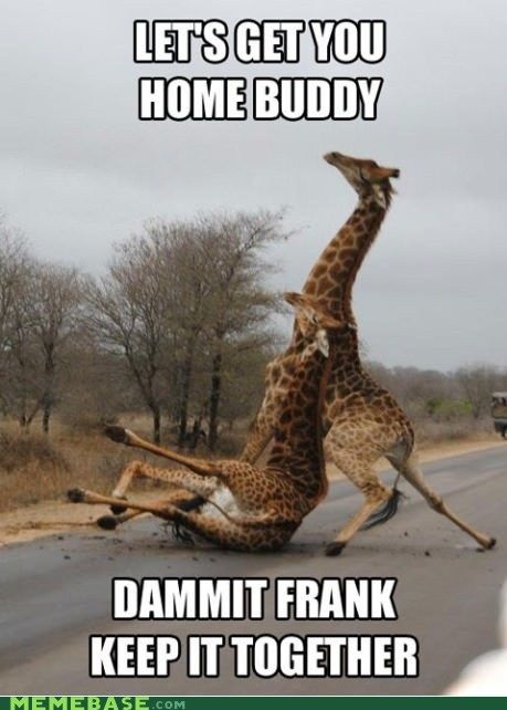 Frank, You're Drunk!