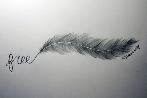 Free, Tattoo, Feather.