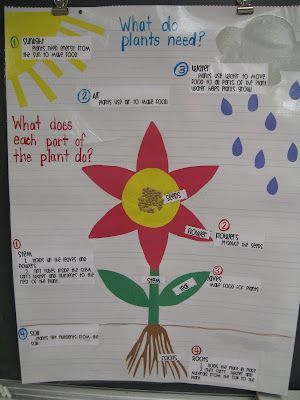 Great anchor chart from First Grade Shenanigans