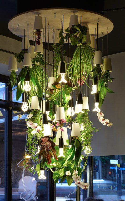 Grow indoor plants upside down with Sky Planters – I have these and they are sup