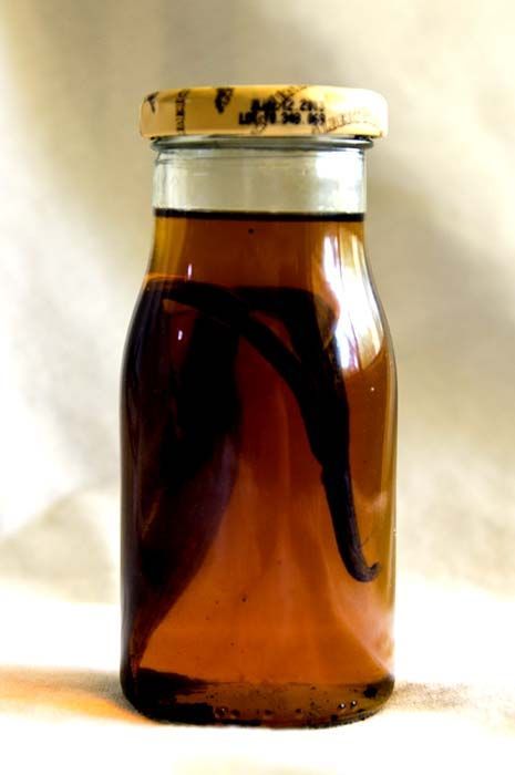 How to Make Your Own Vanilla Extract (from BlogHer's Go Green to Save Money