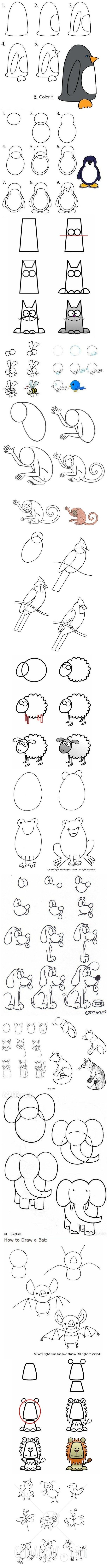 How to draw animals for kids