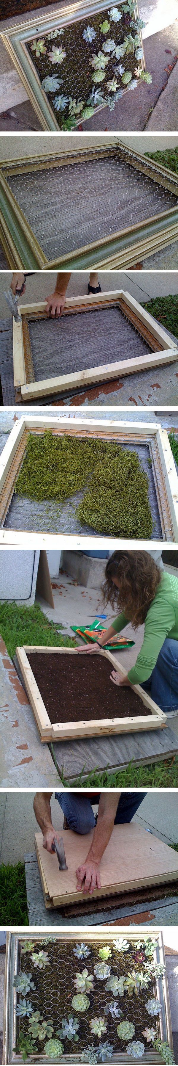 How to on framed succulent planters. Clever!