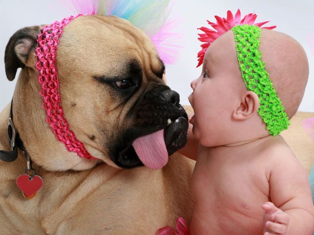 How to prepare the pup for a baby. Will be good to know one day.