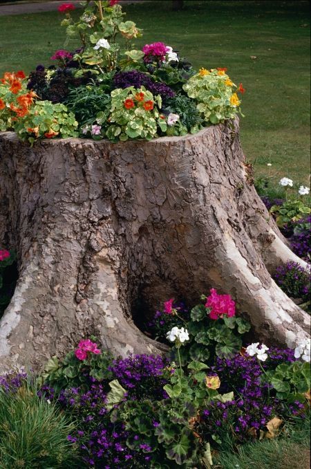 Idea for adding color to an ugly tree stump