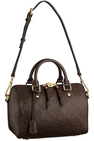 Louis Vuitton Handbags Fall-Winter 2012-2013  (20)