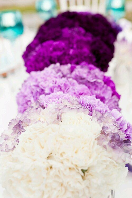 Ombre flowers! Bride has white and get darker with each bridesmaid.