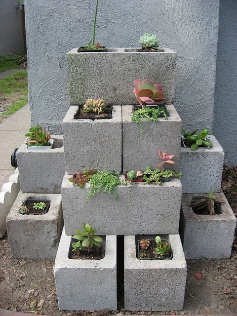 Pinner says: Pepper plants would do awesome in cement containers like this. One