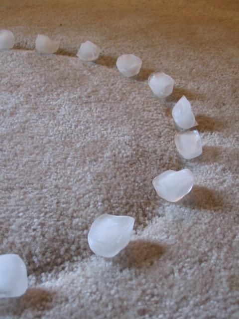 Remove indentions in the carpet left by furniture with ice cubes! Where has this