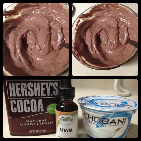 Rich Chocolate Protein FroYo (use honey)