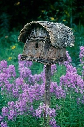 Rustic bird house amidst the summer phlox.