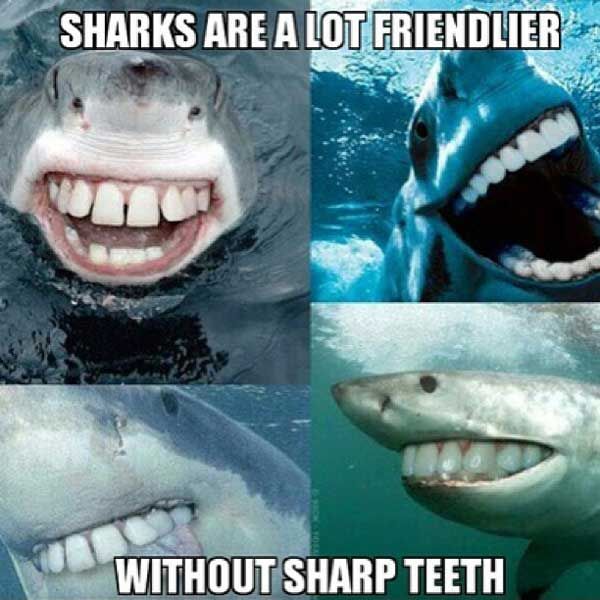 Sharks seem a lot friendlier without sharp teeth.