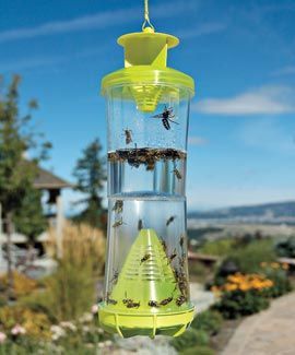 The WHY Insect Trap is proven to catch 21 species of flying, stinging insects. E