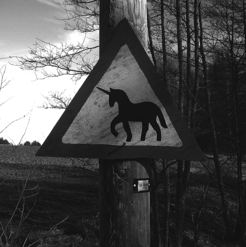 Unicorn crossing!