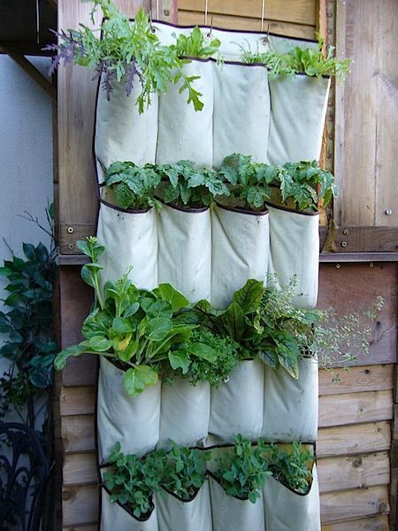 Vertical gardening saves space. Use a hanging shoe container and fill it herb se