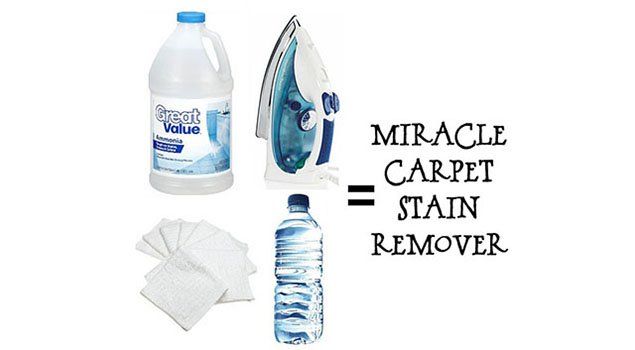 Homemade Carpet Stain RemoverвЂ¦NO Scrubbing Needed! -   DIY Carpet Stain Remover