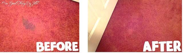 DIY Carpet Stain Remover