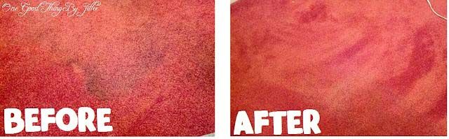 DIY Carpet Stain Remover