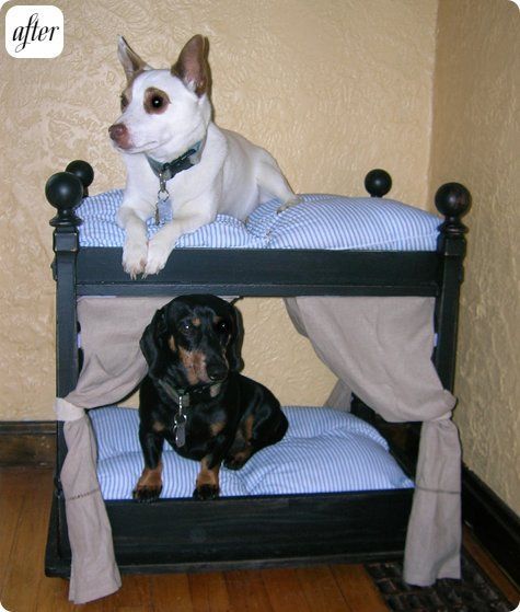 diy dog bunkbeds! AWESOME!!!!!!!!